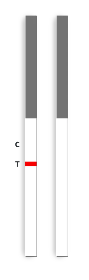 Geçersiz sonuç — tekli test