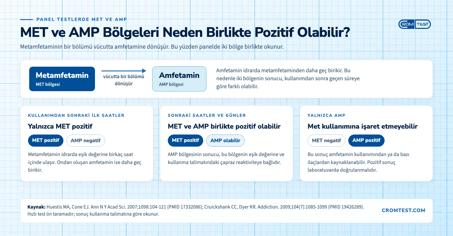 Panel testte MET ve AMP bölgeleri: ilk saatlerde yalnızca MET, sonra ikisi birlikte, yalnızca AMP pozitifse met kullanımına işaret etmeyebilir