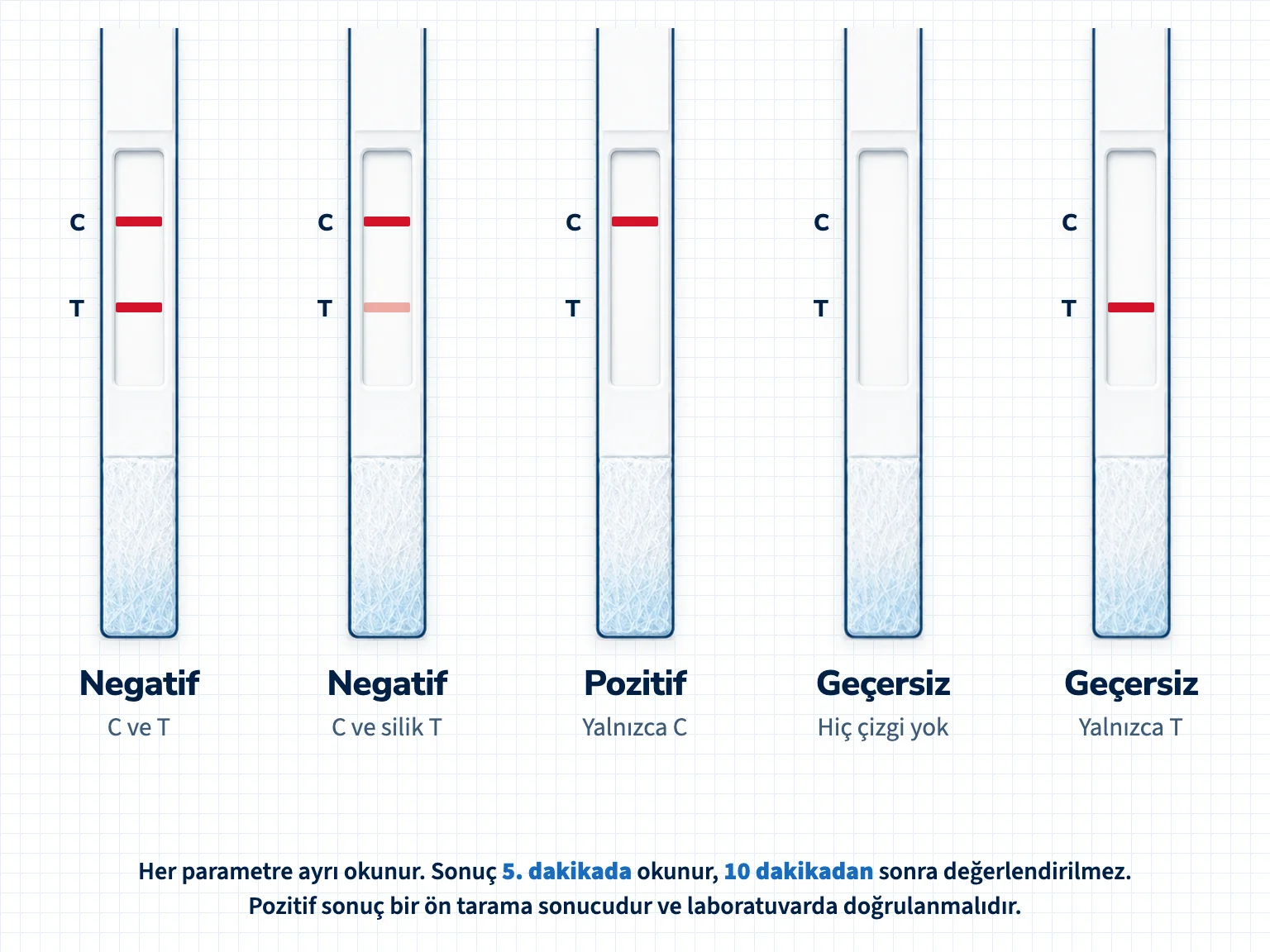 Beş test şeridi: C ve T çizgisi negatif, C ve silik T çizgisi negatif, yalnızca C çizgisi pozitif, hiç çizgi yok geçersiz, yalnızca T çizgisi geçersiz